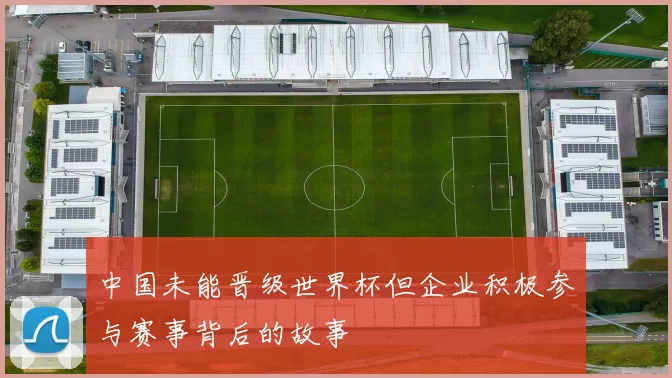 中国未能晋级世界杯但企业积极参与赛事背后的故事