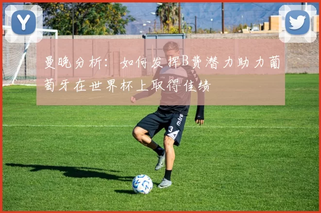 曼晚分析：如何发挥B费潜力助力葡萄牙在世界杯上取得佳绩